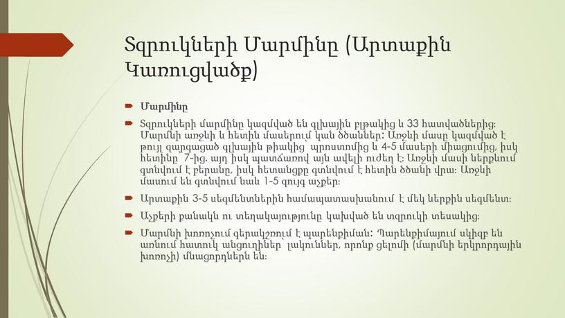 Տզրուկների Մարմինը (Արտաքին Կառուցվածք) Մարմինը Տզրուկների մարմինը կազմված են գլխային բլթակից և 33 հատվածներից։ Մարմնի առջևի և հետին մասերում կան ծծաններ։ Առջևի մասը կազմված է…