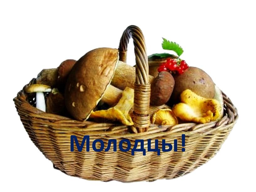 Молодцы!