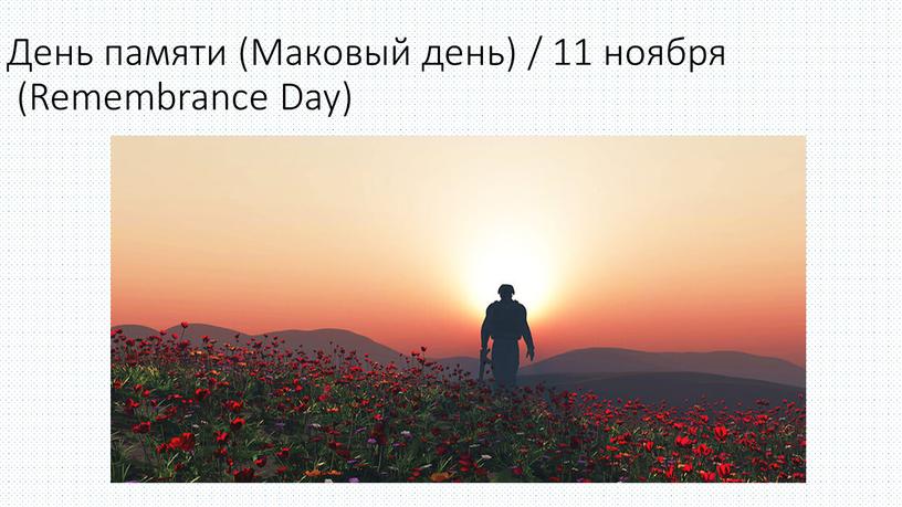 День памяти (Маковый день) / 11 ноября (Remembrance