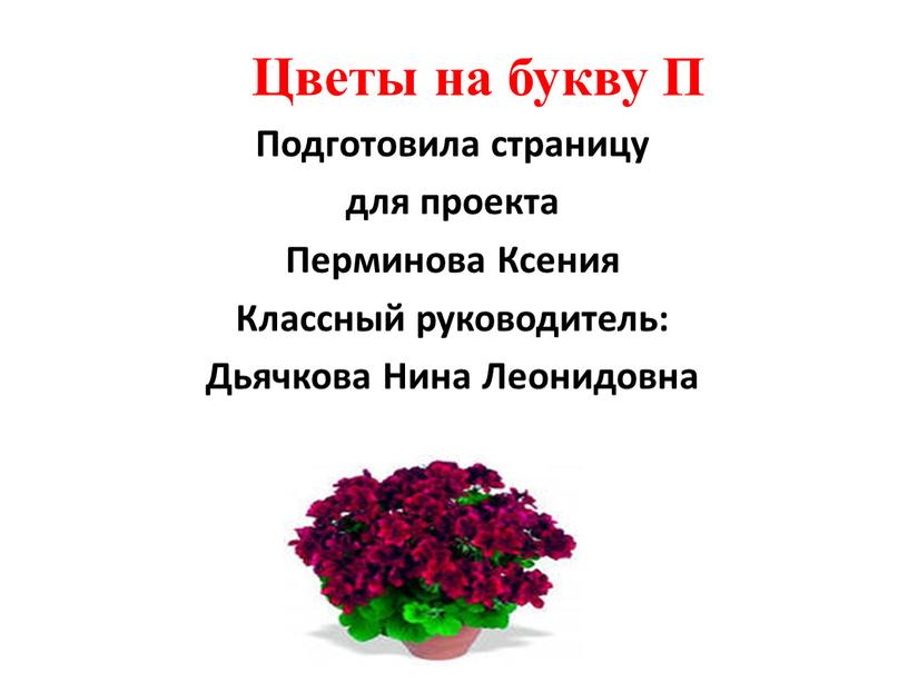 Цветы на букву П Подготовила страницу для проекта