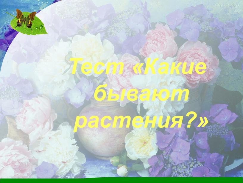 Тест «Какие бывают растения?»