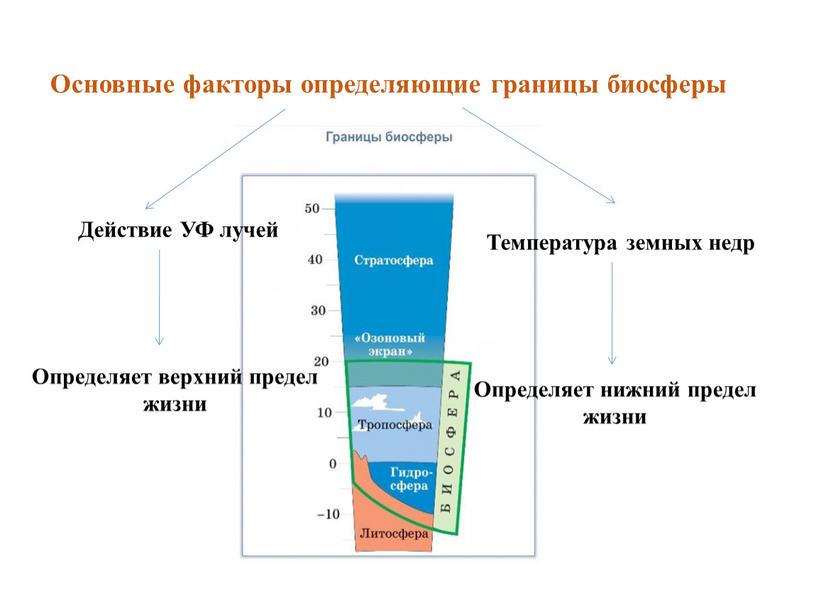 Основные факторы определяющие границы биосферы