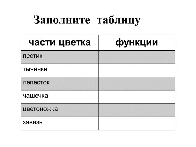 Заполните таблицу части цветка функции пестик тычинки лепесток чашечка цветоножка завязь