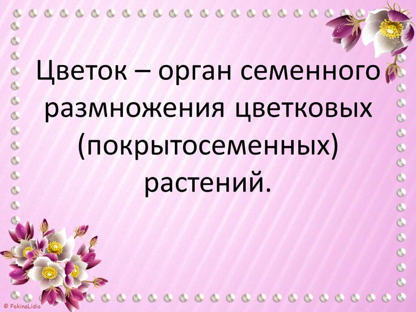 Цветок – орган семенного размножения цветковых (покрытосеменных) растений