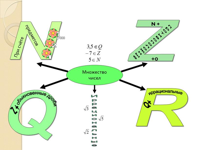 Множество чисел N Z R Q предметов