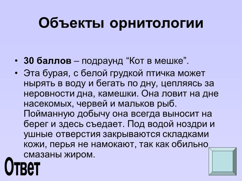 Объекты орнитологии 30 баллов – подраунд “Кот в мешке”