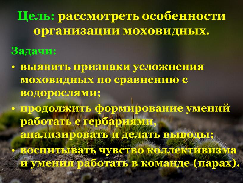 Цель: рассмотреть особенности организации моховидных