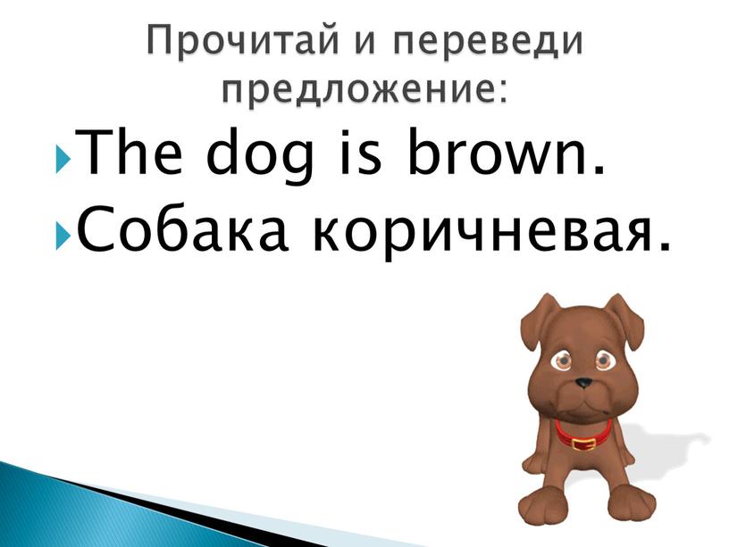 The dog is brown. Собака коричневая