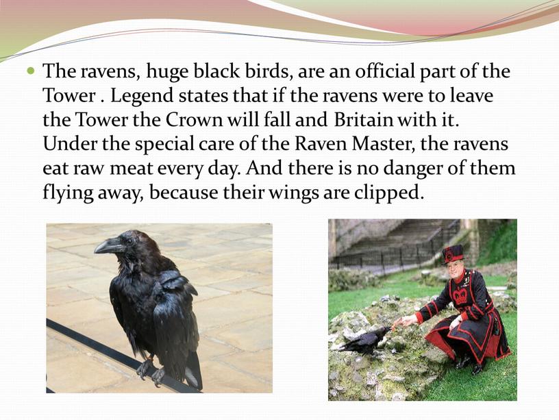 The ravens, huge black birds, are an official part of the