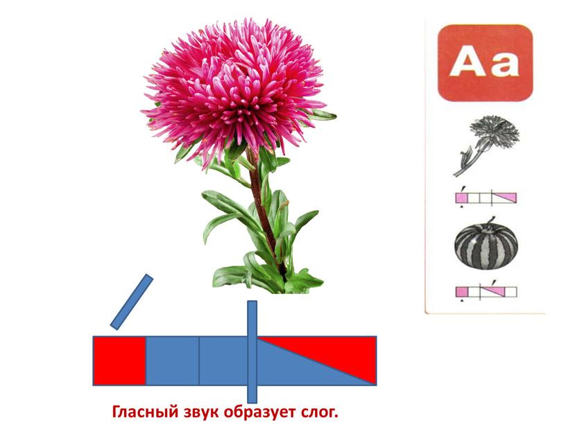 Гласный звук образует слог.