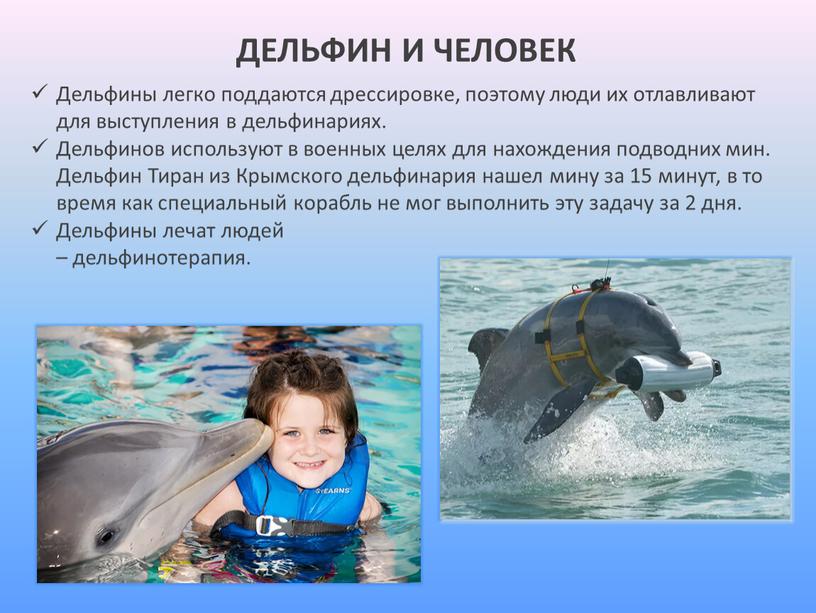 ДЕЛЬФИН И ЧЕЛОВЕК Дельфины легко поддаются дрессировке, поэтому люди их отлавливают для выступления в дельфинариях