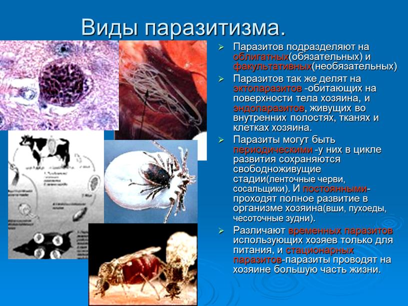 Виды паразитизма. Паразитов подразделяют на облигатных(обязательных) и факультативных(необязательных)