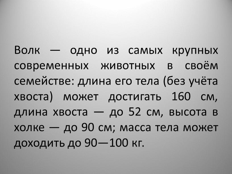 Волк — одно из самых крупных современных животных в своём семействе: длина его тела (без учёта хвоста) может достигать 160 см, длина хвоста — до…