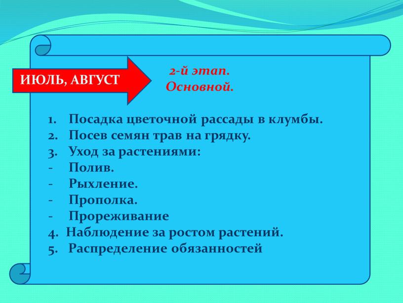 Основной. Посадка цветочной рассады в клумбы