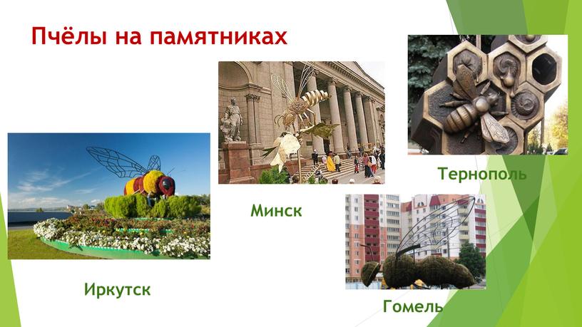 Пчёлы на памятниках Иркутск Минск