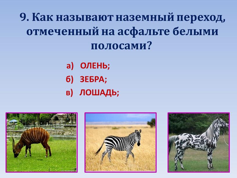 Как называют наземный переход, отмеченный на асфальте белыми полосами? а)