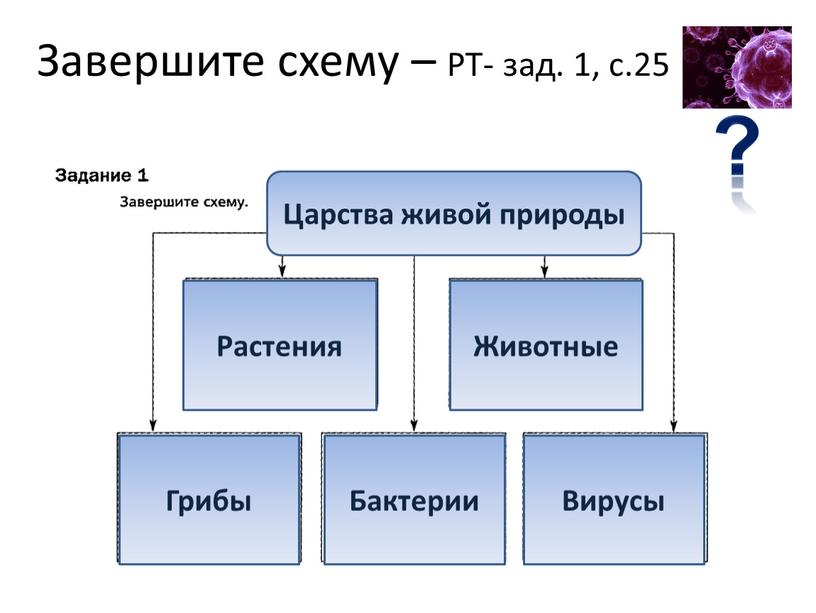 Завершите схему – РТ- зад. 1, с