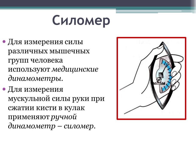 Силомер Для измерения силы различных мышечных групп человека используют медицинские динамометры