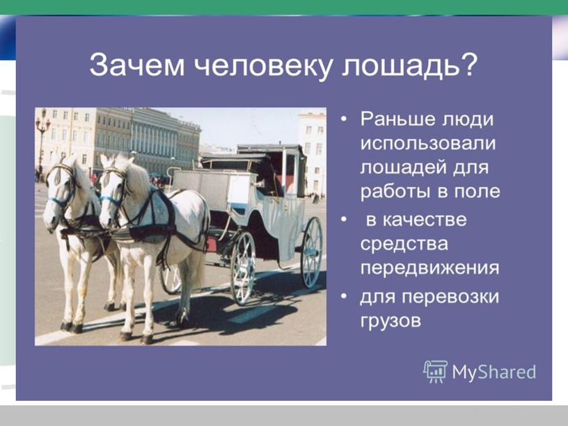 Презентация к уроку окружающего мира "Домашние животные" ФГОС 2 класс