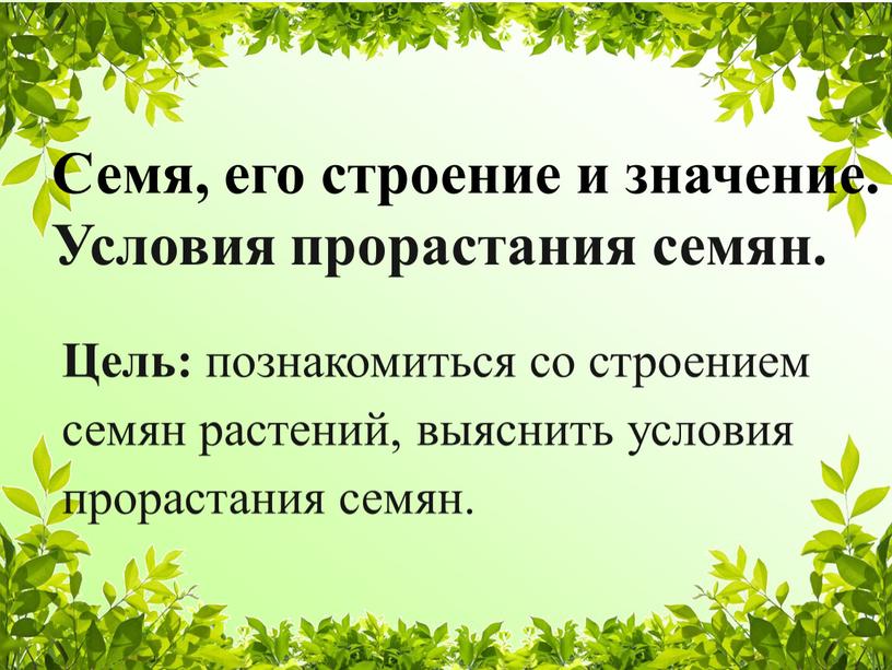 Семя, его строение и значение.