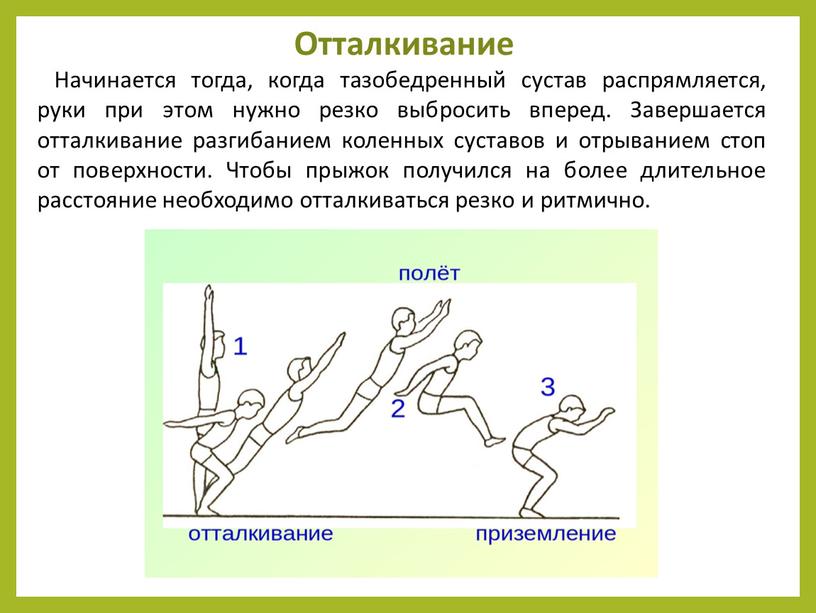 Отталкивание Начинается тогда, когда тазобедренный сустав распрямляется, руки при этом нужно резко выбросить вперед