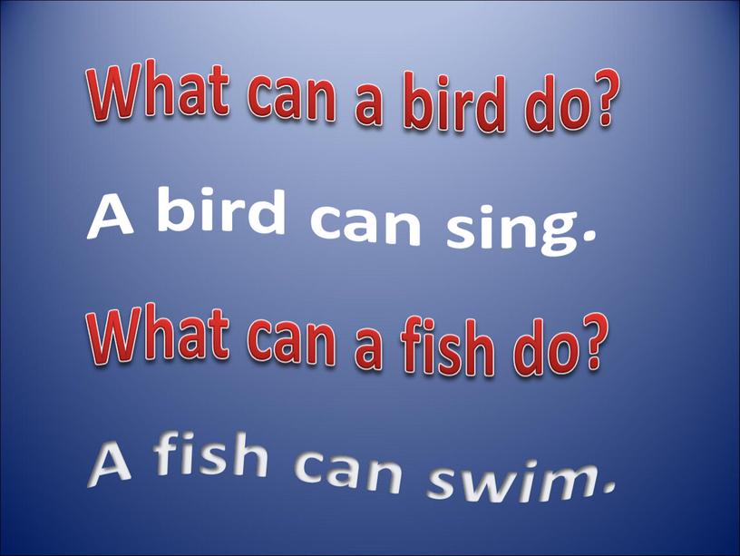 What can a bird do? A bird can sing