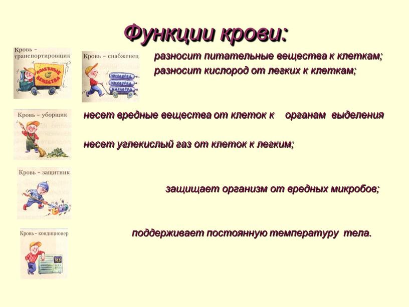 Функции крови: разносит питательные вещества к клеткам; разносит кислород от легких к клеткам; несет вредные вещества от клеток к органам выделения несет углекислый газ от…