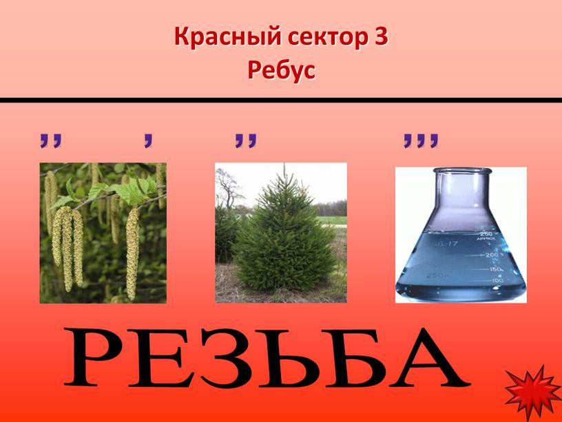 Красный сектор 3 Ребус РЕЗЬБА ,, , ,, ,,,