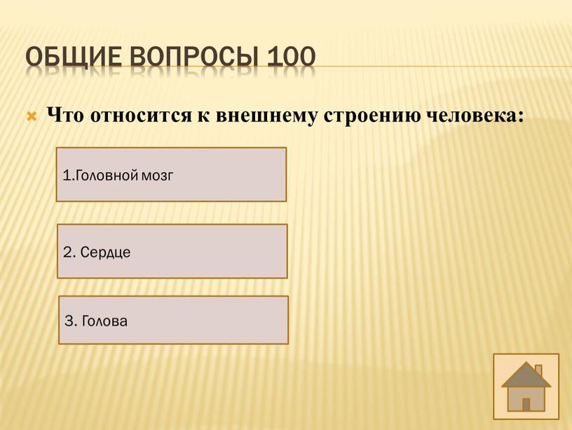 Общие вопросы 100 Что относится к внешнему строению человека: 2