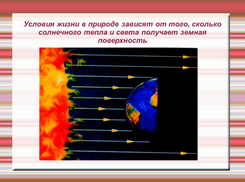 Условия жизни в природе зависят от того, сколько солнечного тепла и света получает земная поверхность