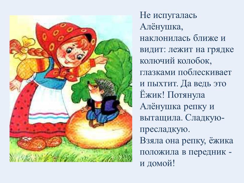 Не испугалась Алёнушка, наклонилась ближе и видит: лежит на грядке колючий колобок, глазками поблескивает и пыхтит