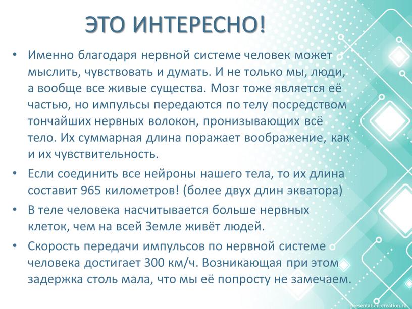 ЭТО ИНТЕРЕСНО! Именно благодаря нервной системе человек может мыслить, чувствовать и думать