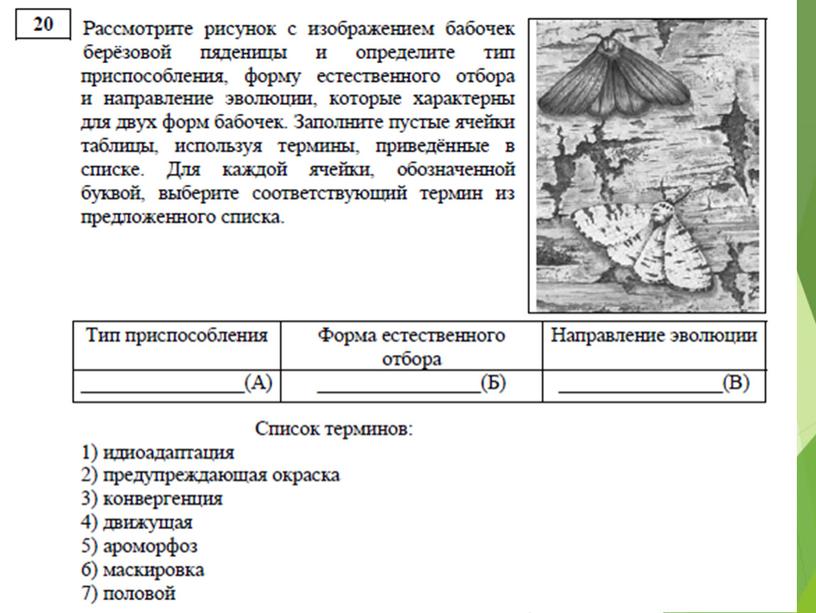 Разбор демо-версии ЕГЭ по биологии