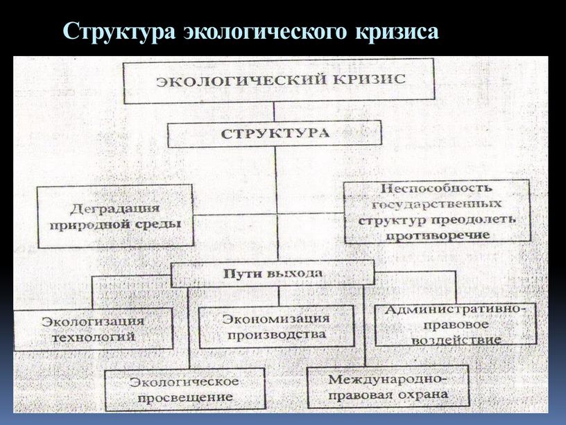 Структура экологического кризиса