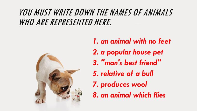 you must write down the names of animals who are represented here. 1. an animal with no feet 2. a popular house pet 3. "man's…