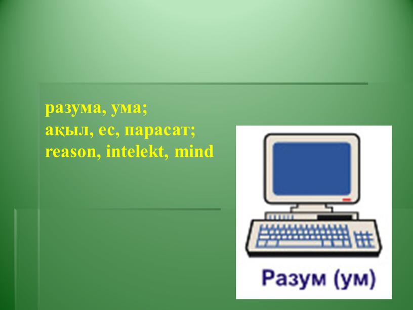 разума, ума; ақыл, ес, парасат; reason, intelekt, mind