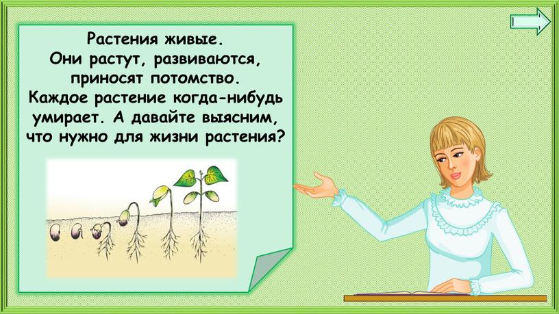 Растения живые. Они растут, развиваются, приносят потомство