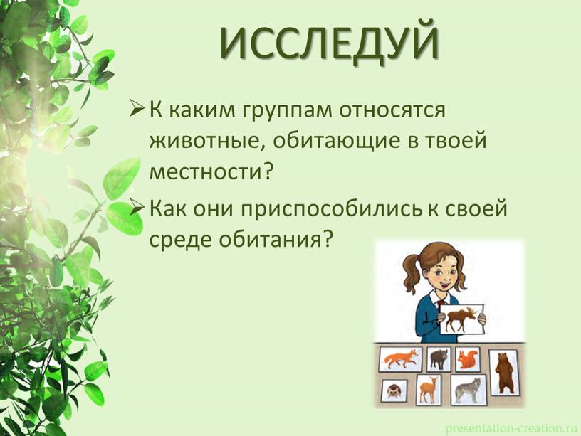 ИССЛЕДУЙ К каким группам относятся животные, обитающие в твоей местности?