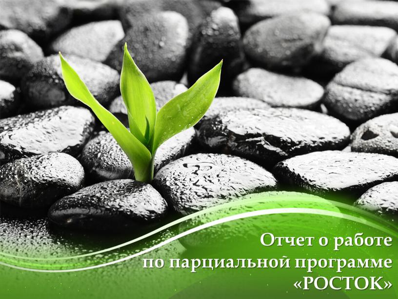 Отчет о работе по парциальной программе «РОСТОК»