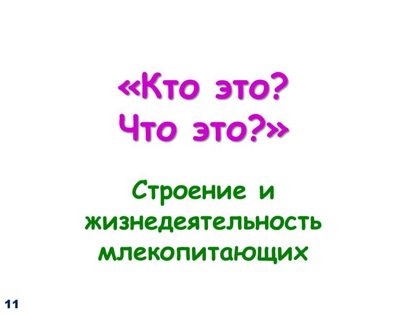 Кто это? Что это?» Строение и жизнедеятельность млекопитающих 11