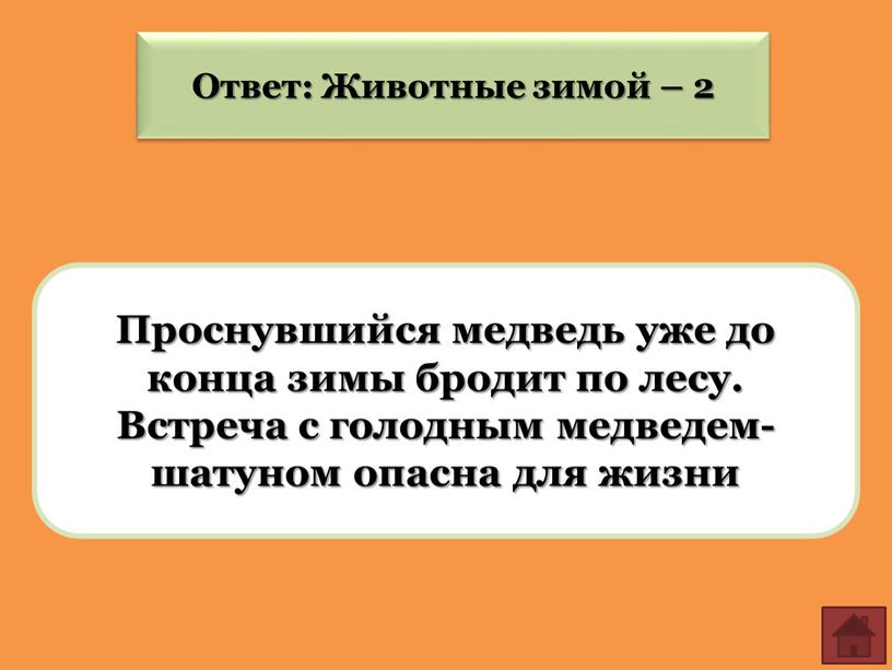 Ответ: Животные зимой – 2 Проснувшийся медведь уже до конца зимы бродит по лесу