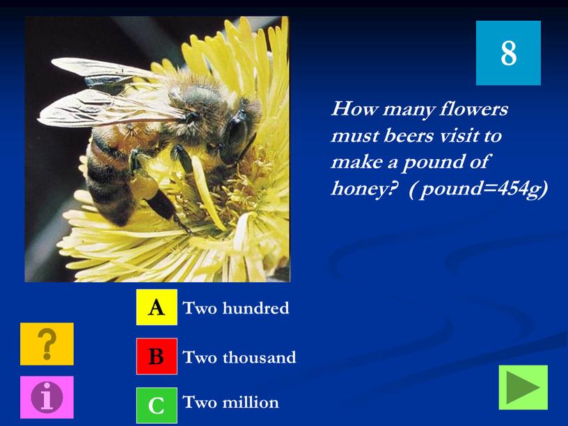 How many flowers must beers visit to make a pound of honey? ( pound=454g)