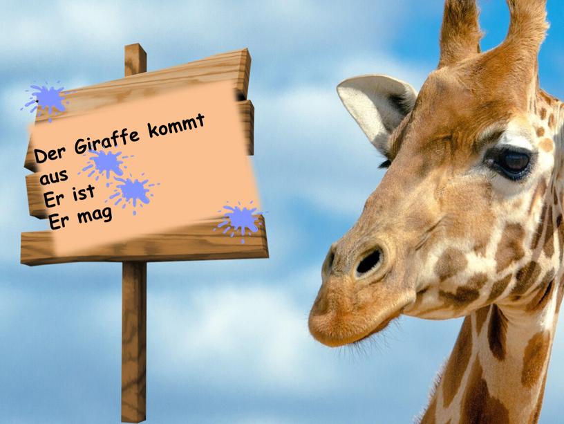 Der Giraffe kommt aus Er ist Er mag