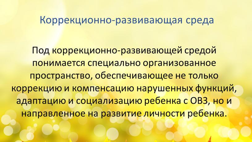 Под коррекционно-развивающей средой понимается специально организованное пространство, обеспечивающее не только коррекцию и компенсацию нарушенных функций, адаптацию и социализацию ребенка с