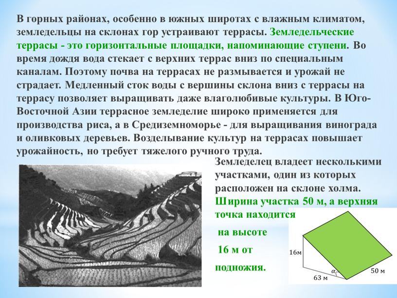 В горных районах, особенно в южных широтах с влажным климатом, земледельцы на склонах гор устраивают террасы