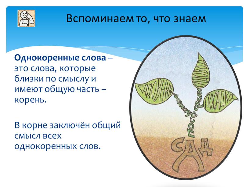 Однокоренные слова – это слова, которые близки по смыслу и имеют общую часть – корень