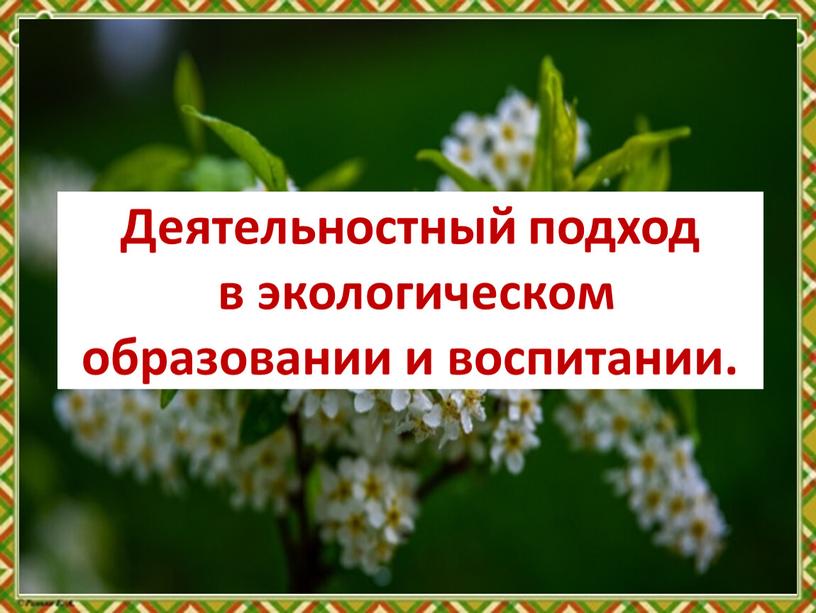 Деятельностный подход в экологическом образовании и воспитании