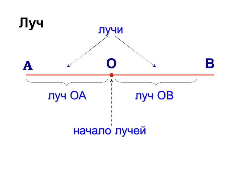 В О А начало лучей луч ОА луч ОВ лучи