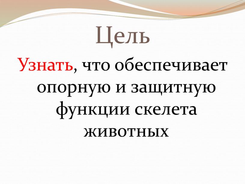 Цель Узнать, что обеспечивает опорную и защитную функции скелета животных