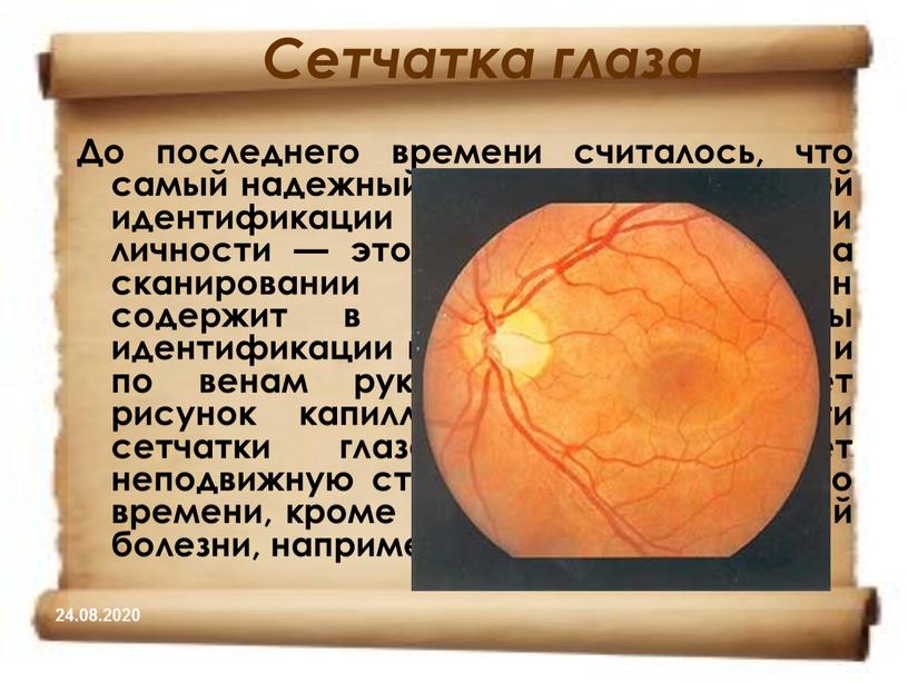Сетчатка глаза До последнего времени считалось, что самый надежный метод биометрической идентификации и аутентификации личности — это метод, основанный на сканировании сетчатки глаза